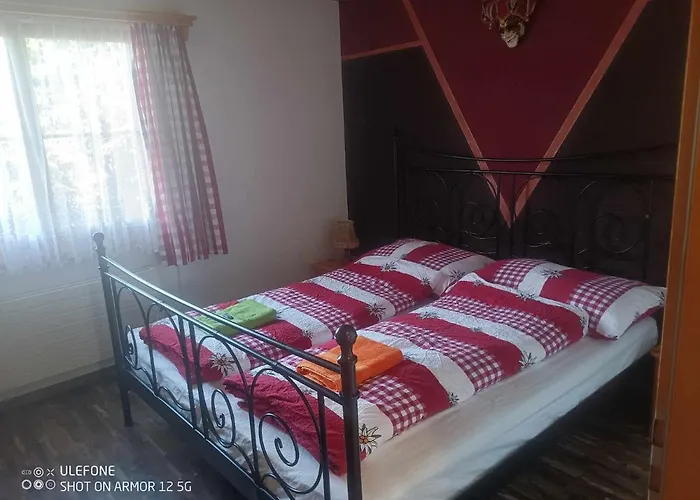 Haldi * كلوسترز